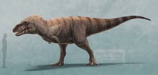 Illustration of Albertosaurus sarcophagus