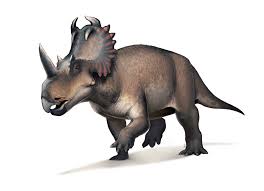 Illustration of Centrosaurus apertus